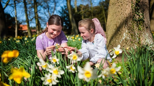 Two primary school age girls sit amongst the spring flowers at Oxburgh Estate in Norfolk. The sun is shining and they are smiling and looking at a flower